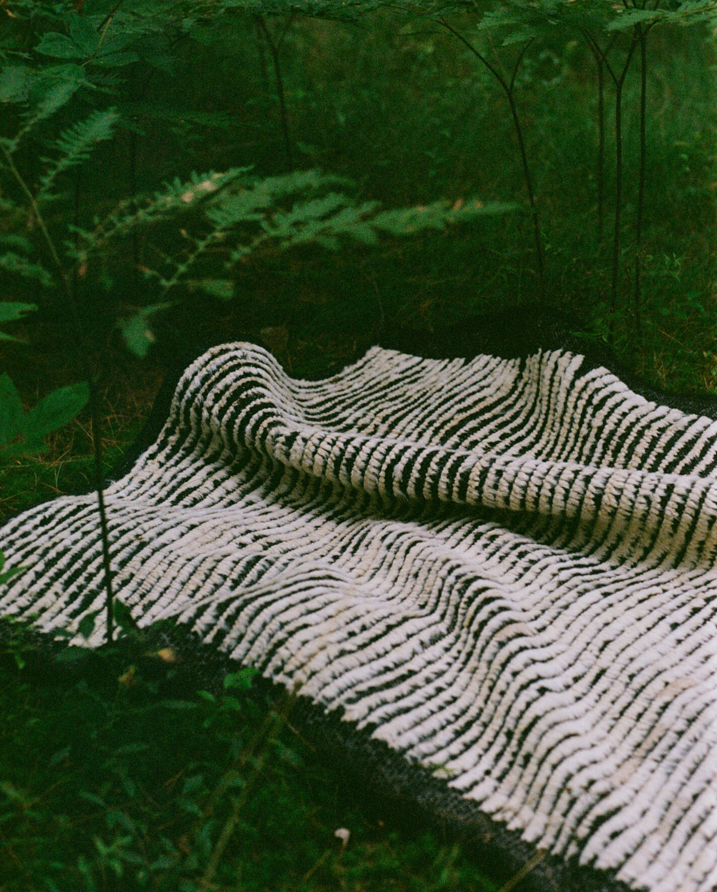 000048030009-712×885@2x